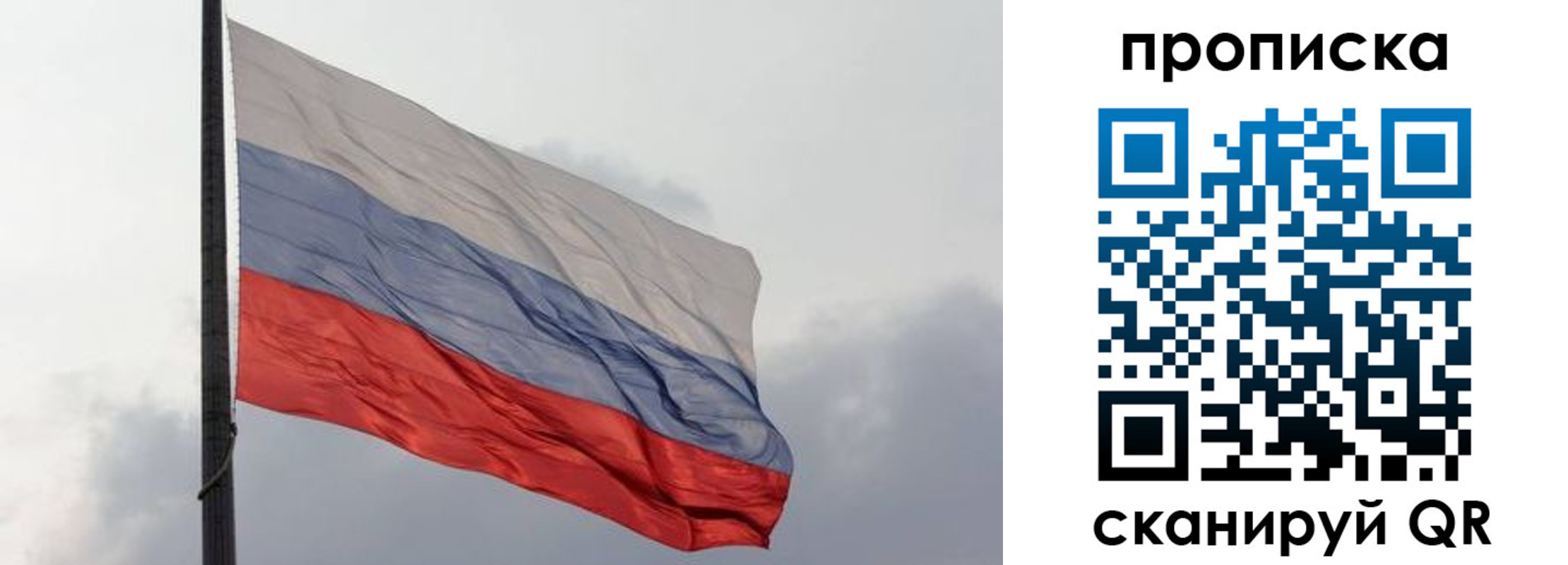 прописка в квартире в Московской области